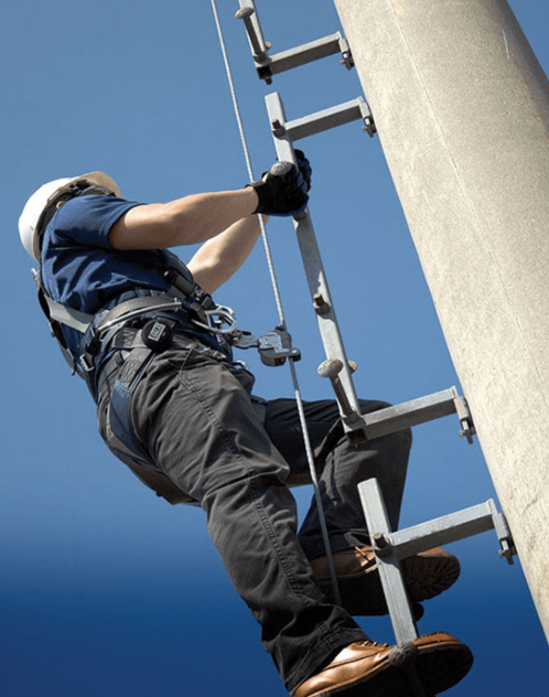 Ladder Fall Protection System
