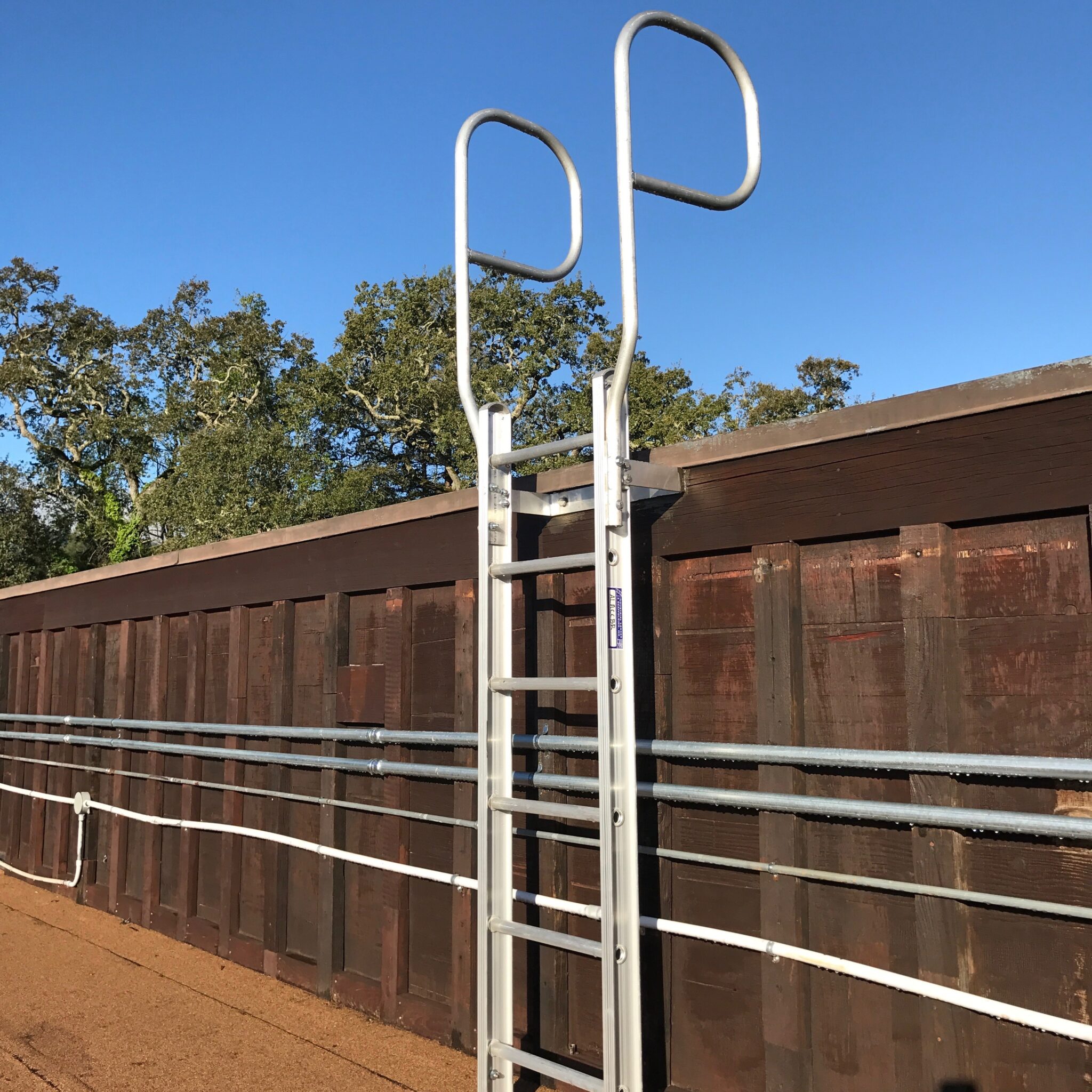 Fixed Access Ladder Guide | Types, Materials, Safety & Measuring