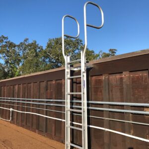 fixed ladder walk thru handrails