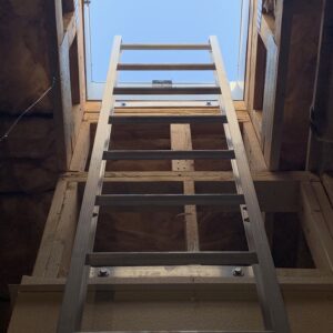 wall mounted fixed access ladder